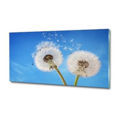 Glass picture wall art Dandelions