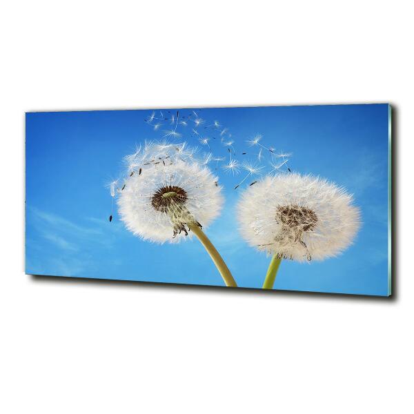 Glass picture wall art Dandelions