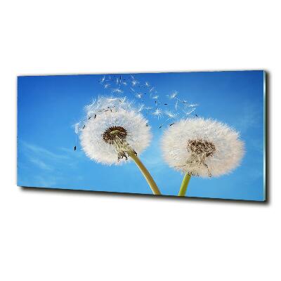 Glass picture wall art Dandelions