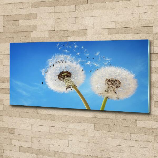 Glass picture wall art Dandelions