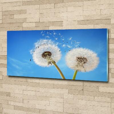 Glass picture wall art Dandelions