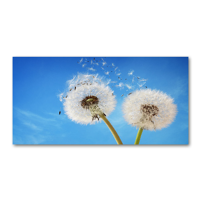 Glass picture wall art Dandelions