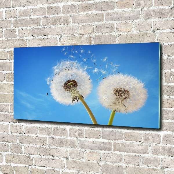 Glass picture wall art Dandelions