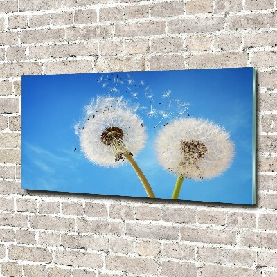 Glass picture wall art Dandelions