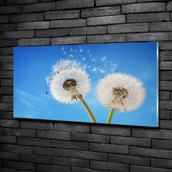 Glass picture wall art Dandelions