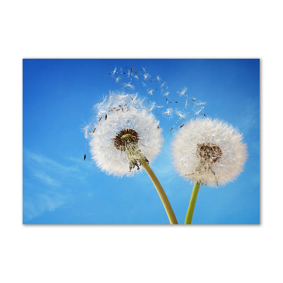 Glass picture wall art Dandelions