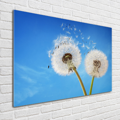 Glass picture wall art Dandelions