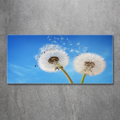 Glass picture wall art Dandelions