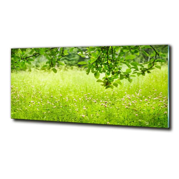 Wall art on glass Green meadow