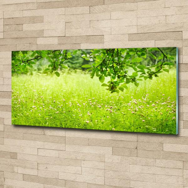 Wall art on glass Green meadow