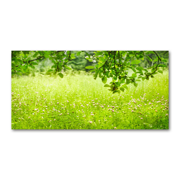 Wall art on glass Green meadow