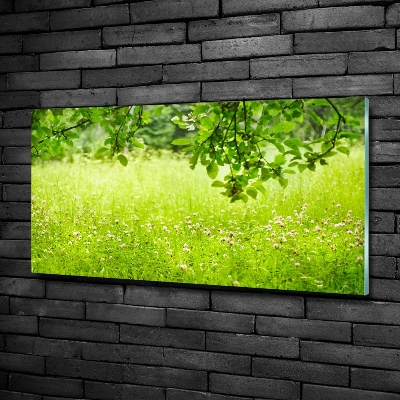 Wall art on glass Green meadow