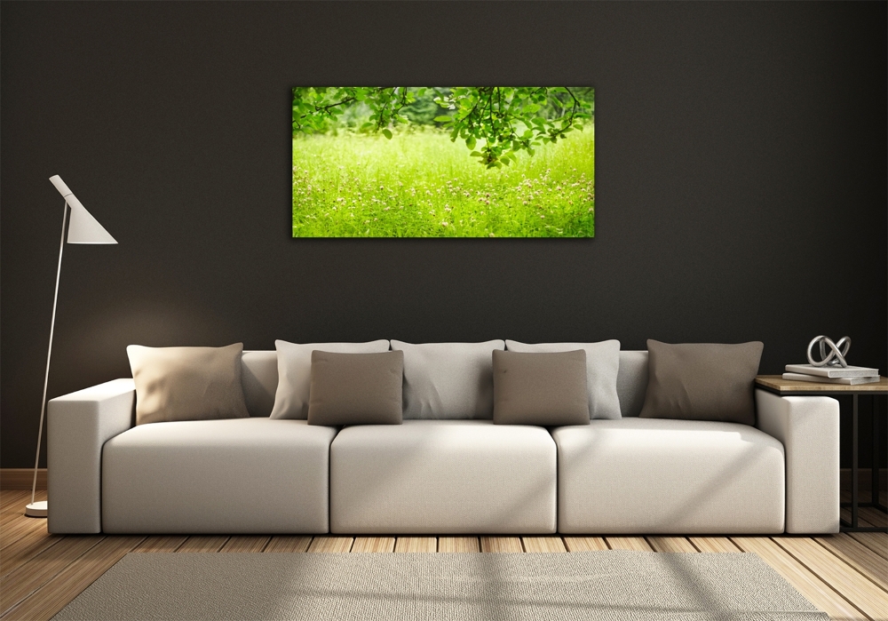 Wall art on glass Green meadow