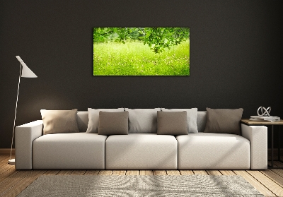 Wall art on glass Green meadow