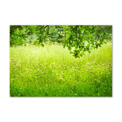 Wall art on glass Green meadow