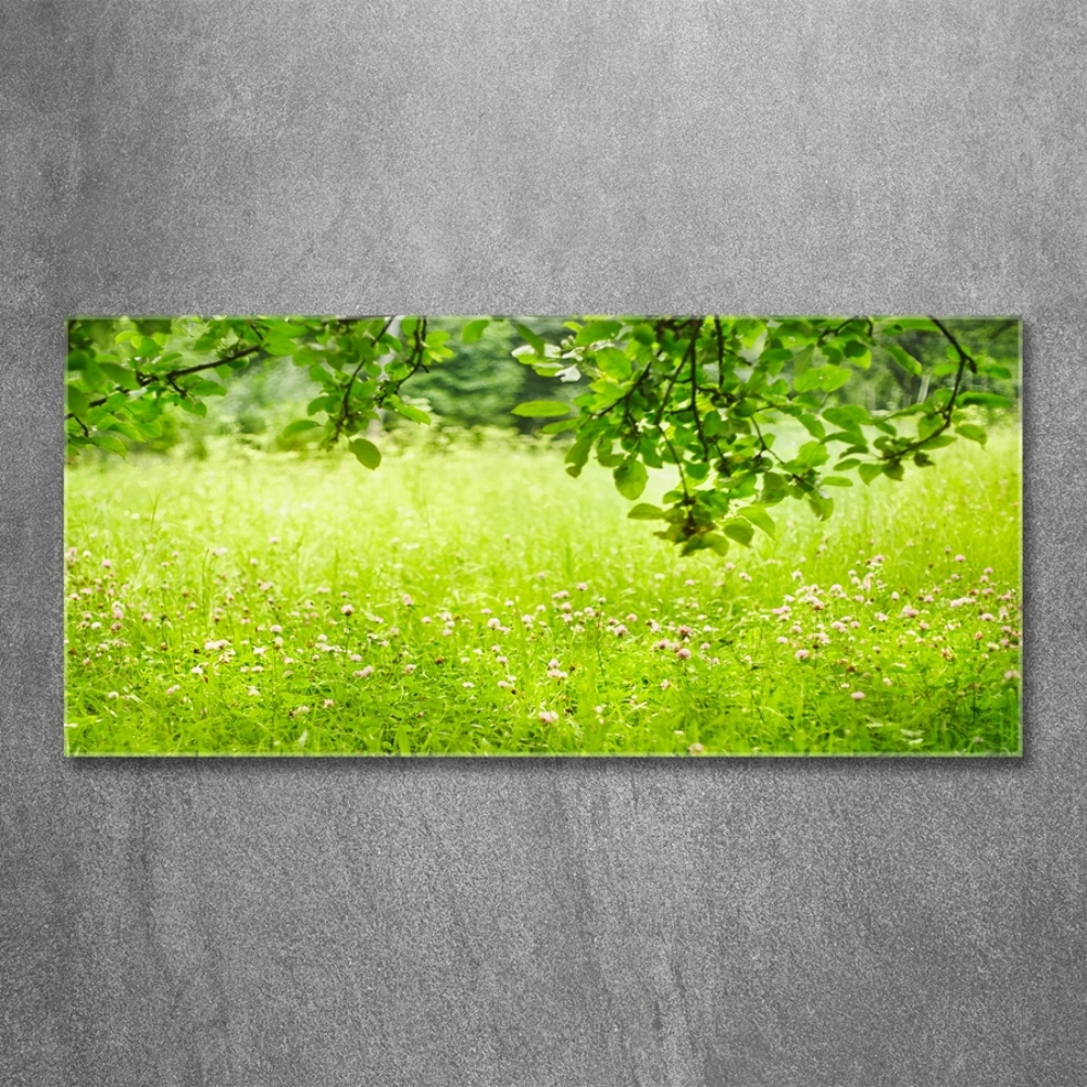 Wall art on glass Green meadow