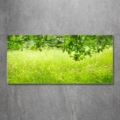 Wall art on glass Green meadow