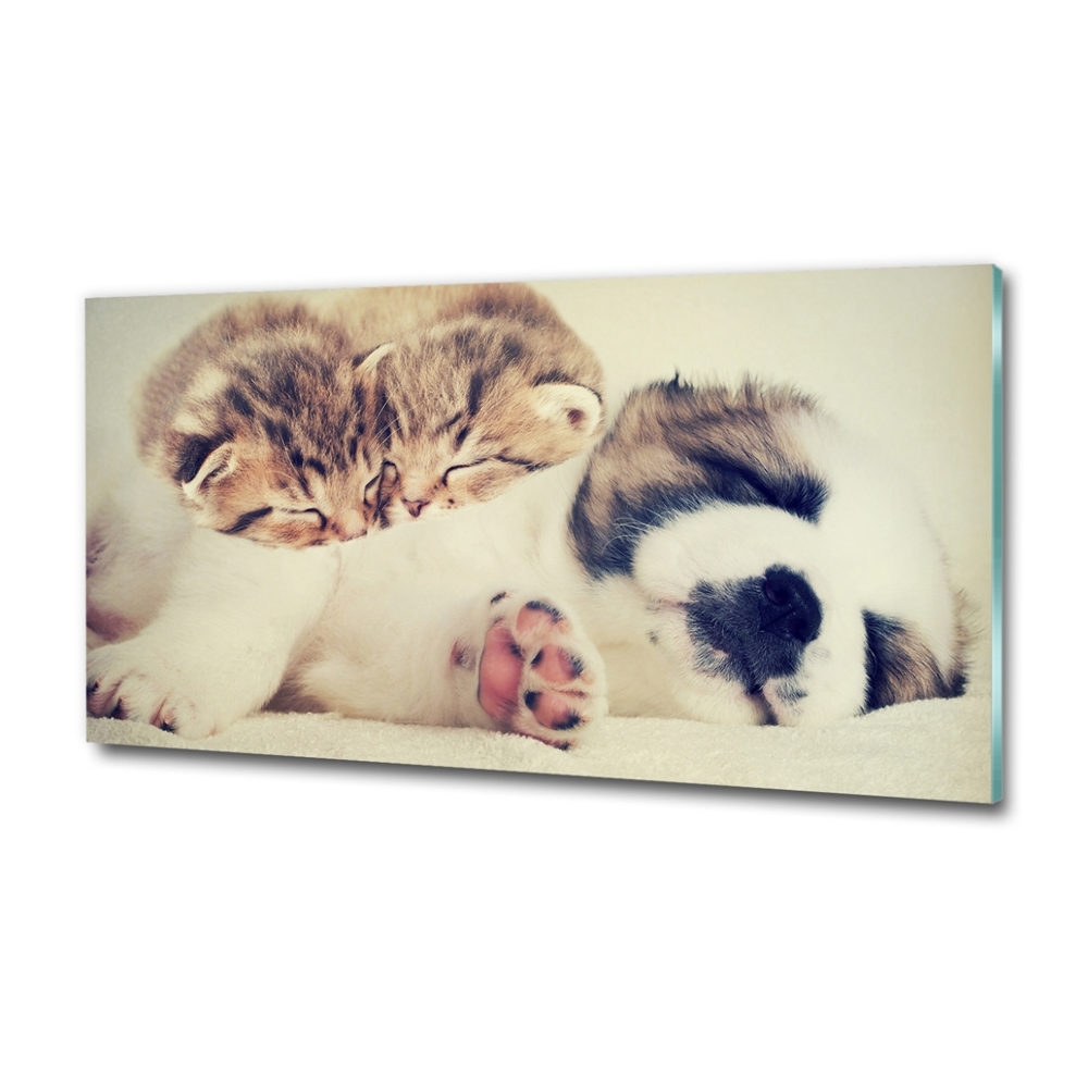 Glass art print Two cats and a dog