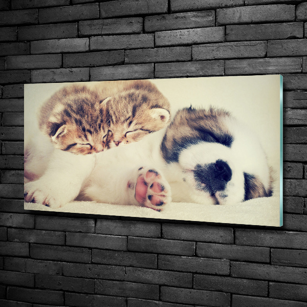 Glass art print Two cats and a dog