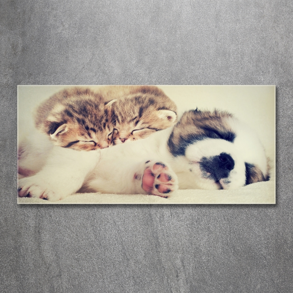 Glass art print Two cats and a dog