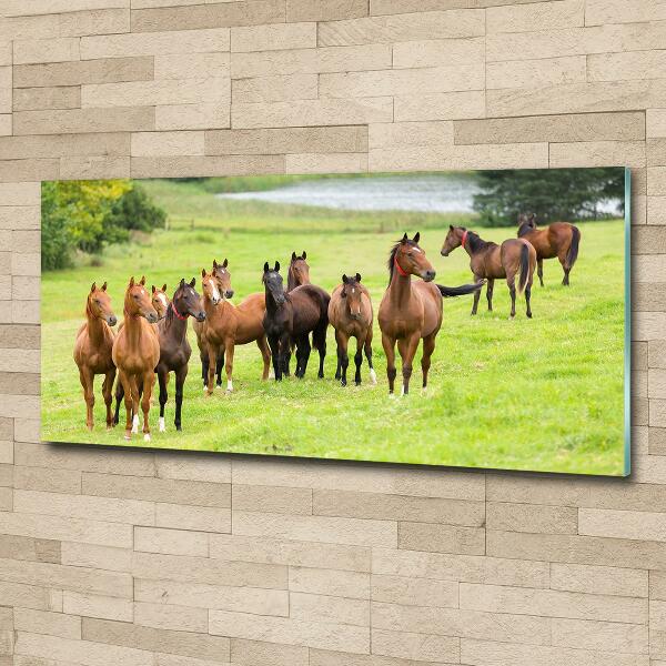 Wall art on glass A herd of horses in the meadow