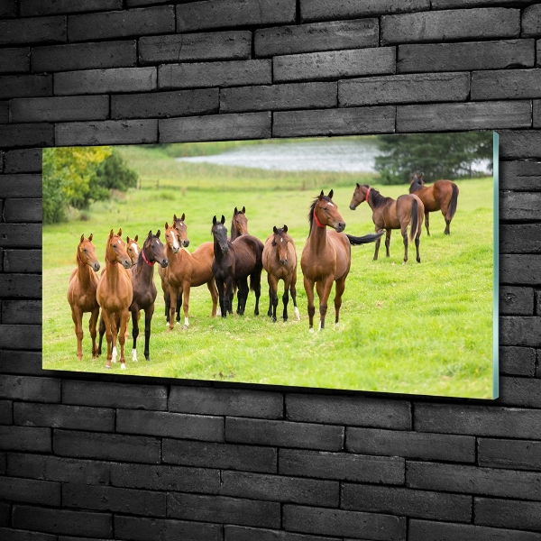 Wall art on glass A herd of horses in the meadow