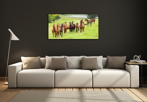 Wall art on glass A herd of horses in the meadow