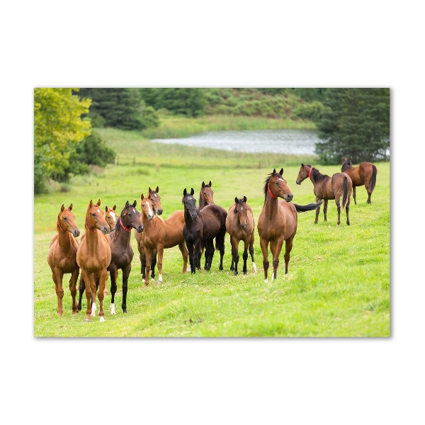 Wall art on glass A herd of horses in the meadow