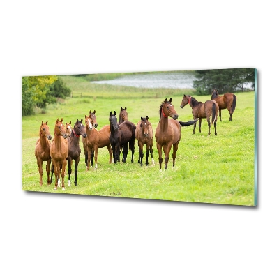 Wall art on glass A herd of horses in the meadow