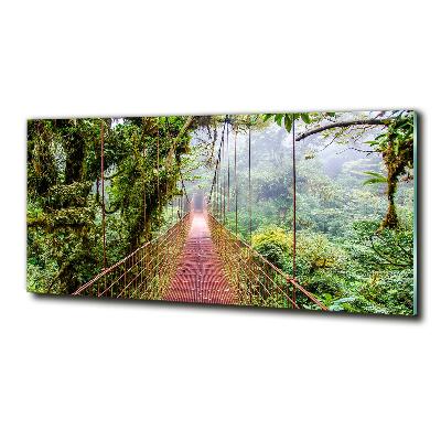 Wall art on glass Bridge in the tropics