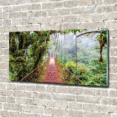 Wall art on glass Bridge in the tropics