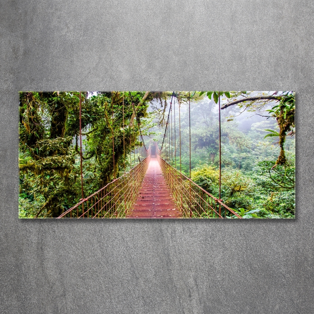 Wall art on glass Bridge in the tropics