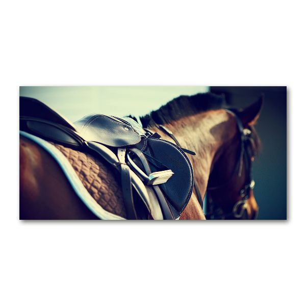 Wall art on glass Saddle with stirrups