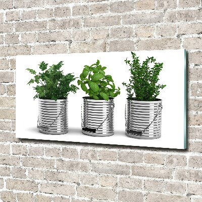 Glass art print Aromatic plants