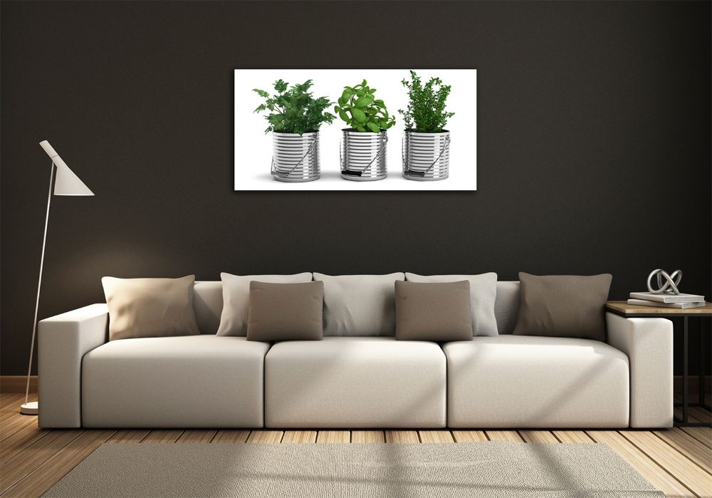 Glass art print Aromatic plants