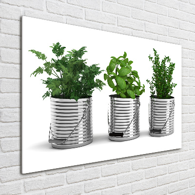 Glass art print Aromatic plants