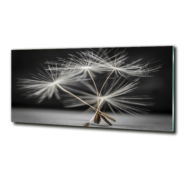 Glass picture wall art Dandelion seeds