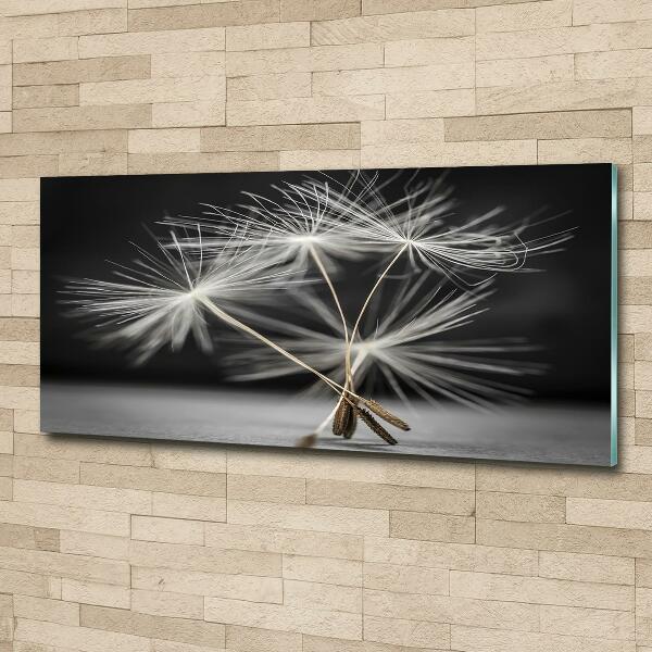 Glass picture wall art Dandelion seeds