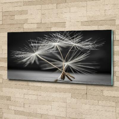 Glass picture wall art Dandelion seeds