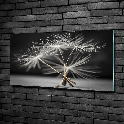 Glass picture wall art Dandelion seeds