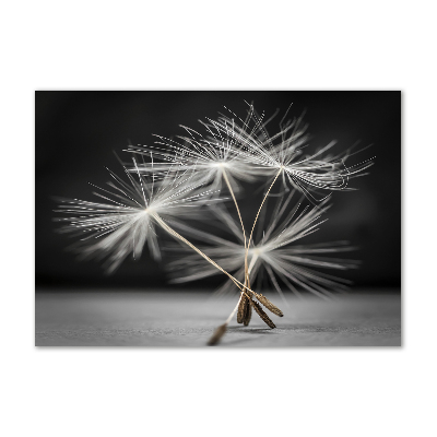 Glass picture wall art Dandelion seeds