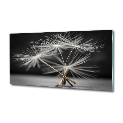 Glass picture wall art Dandelion seeds