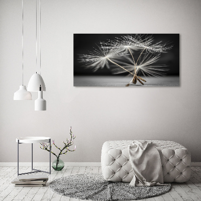 Glass picture wall art Dandelion seeds