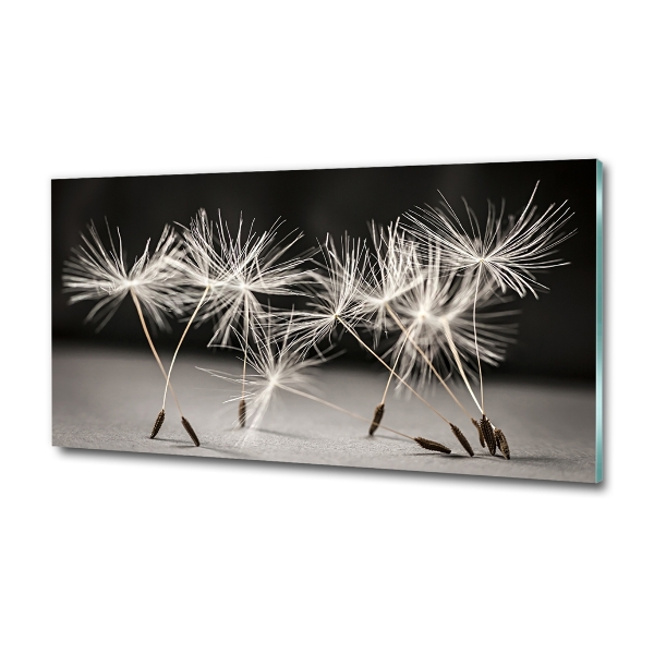 Printed glass wall art Dandelion seeds