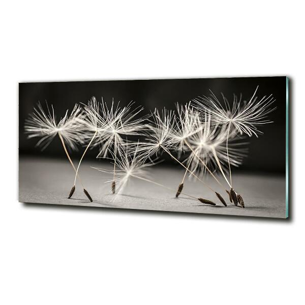 Printed glass wall art Dandelion seeds