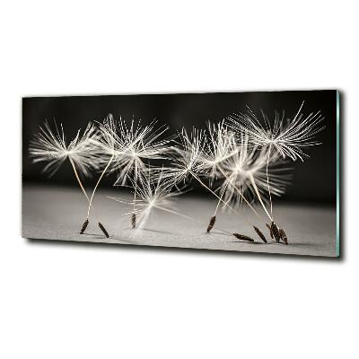 Printed glass wall art Dandelion seeds