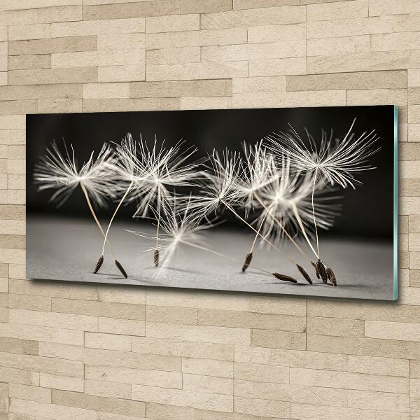 Printed glass wall art Dandelion seeds