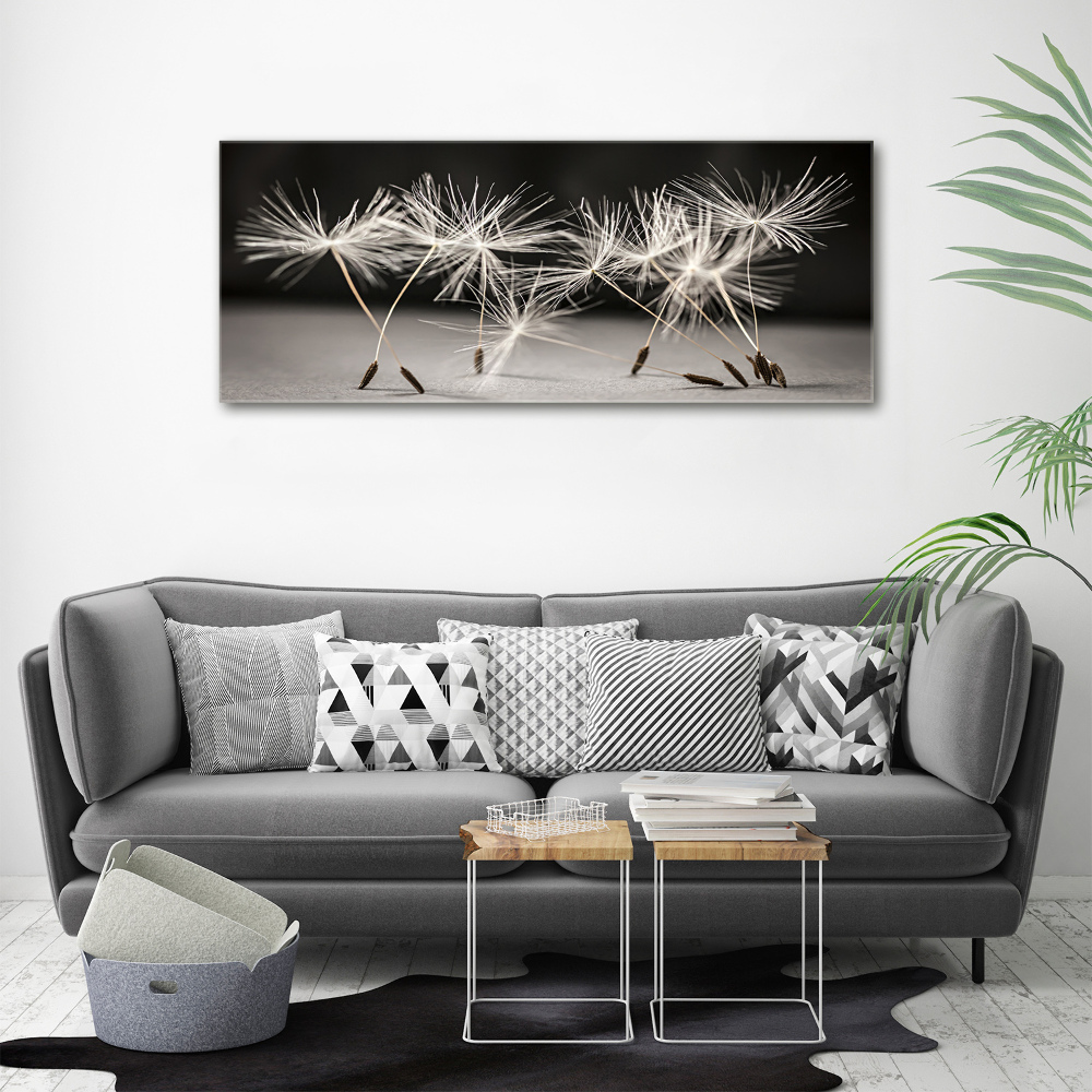 Printed glass wall art Dandelion seeds