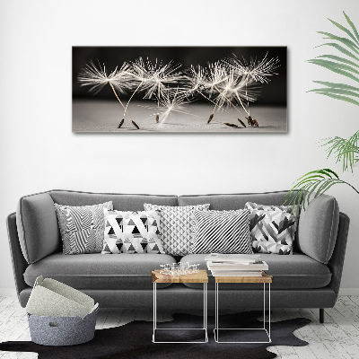 Printed glass wall art Dandelion seeds