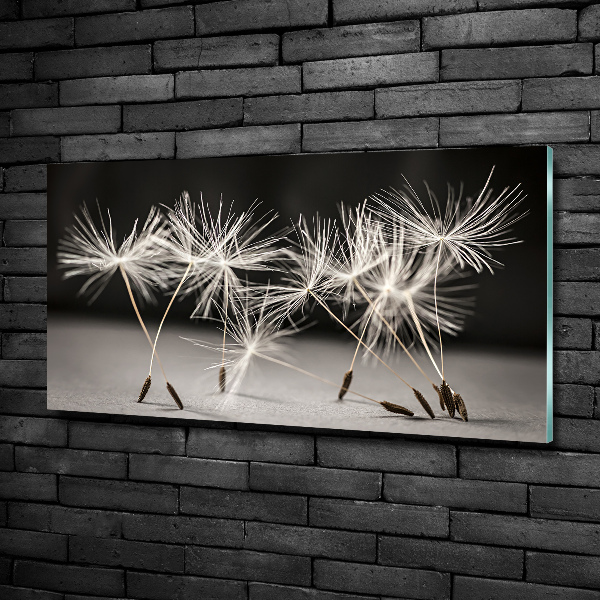 Printed glass wall art Dandelion seeds